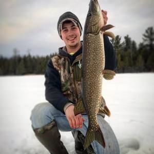 Meet your Posher, Gavin